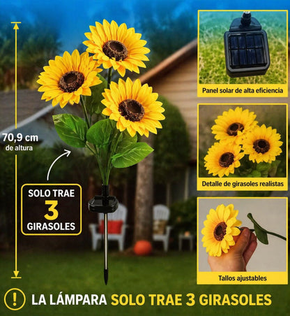 ¿Tu jardín se ve apagado en las noches? Esto lo cambia en 30 segundos.