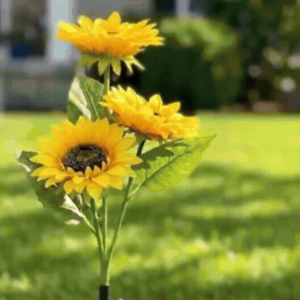 ¿Tu jardín se ve apagado en las noches? Esto lo cambia en 30 segundos.